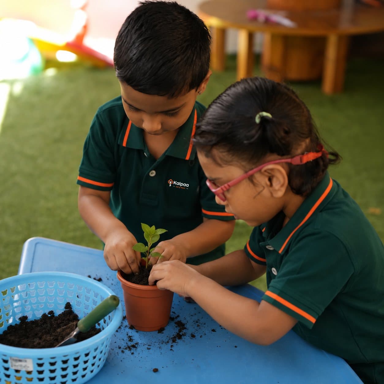 Two children potting a seedling at the classroom plant table